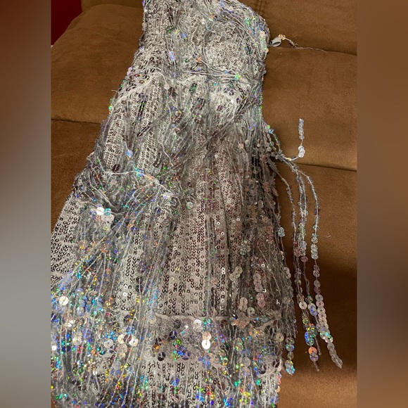 Beyonce Style Sequin Shingle dress - Picture 5 of 5